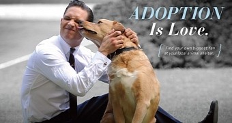 PETA Puts Tom Hardy and Puppy Up on Adoption Poster, the Internet Is Happy - Photo