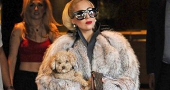 PETA highly disapproves of Lady Gaga's fashion choices