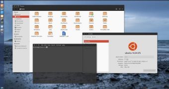Ubuntu 14.04 LTS desktop