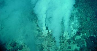 This is an active hydrothermal vent, seen here releasing hot gases from inside Earth's mantle