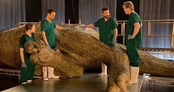 Paleontologists Build Then Autopsy Life-Sized T. Rex Replica