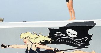 Pamela Anderson shows her support for Sea Shepherd and their latest anti-whaling campaign