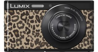 Panasonic Lumix XS1, a Camera with Custom Cases