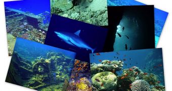 Panoramio now allows users to upload underwater photos