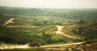 Paper Giant APP Agrees to End Deforestation