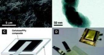 New flexible batteries are made of conducting polymers and algae cellulose