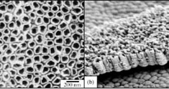 Titanium nanoparticles