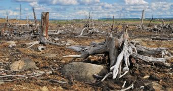 High officials in Paraguay extend Zero Deforestation Law until 2018