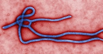 Hospital in Texas, US, admits patient displaying symptoms consistent with Ebola disease