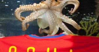 Paul the octopus, aka the “Oracle,” has died, aged 2