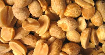 Pregnant women can eat peanuts without fear of triggering allergies in their infants
