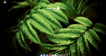 Pear OS 3.0 Panther: Mac-Looking Ubuntu 11.10