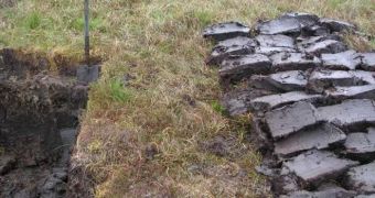 Excavation showing peat soil