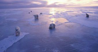 Peculiar Spring Weather Linked to Loss of Arctic Sea Ice