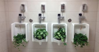Amsterdam is looking to turn pee into plant fertilizer