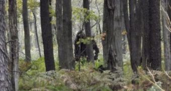 A hiker spots Bigfoot in the woods in Pennsylvania