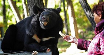 Bears living with pensioners in East Russia need a new home