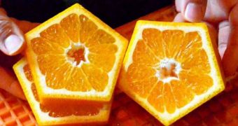 Oddly-shaped citrus fruits considered a good luck charm by students in Japan