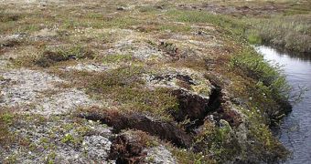 Thawing permafrost will release vast amounts of carbon in the atmosphere in the coming decades