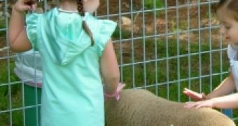 Petting Zoos Can Transmit Diseases