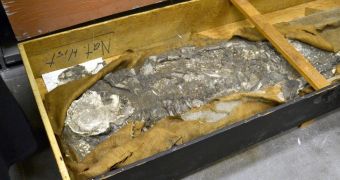 6,500-year-old skeleton found in the basement of Philadelphia's Penn Museum