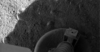 Image of one of Phoenix's feed placed on Martian ground