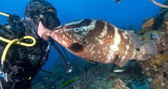 Man gets to kiss a fish while exploring the waters near Honduras