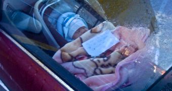 Photo of Infant Left Alone with Note Prompts Investigation into Mother's Identity