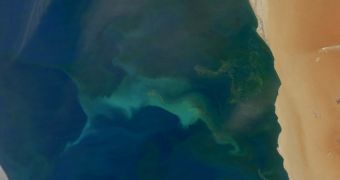 Photo shows a yellow and green ocean off the coast of Namibia