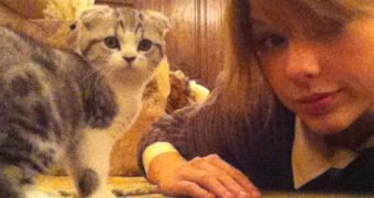 Photo of the Day: Meredith the Cat Owes Taylor Swift $40 Million (€37.8 Million)