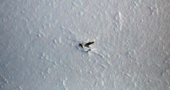 Satellite image of US army plane wreckage resting in Greenland hits the public eye