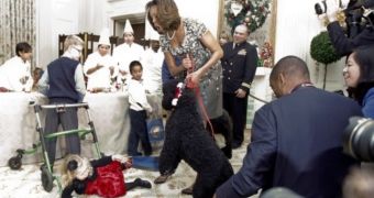 Sunny, the Obamas’ White House dog, forgets manners, knocks down guest at holiday party