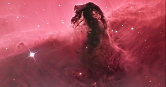 Stunning image of the Horsehead Nebula