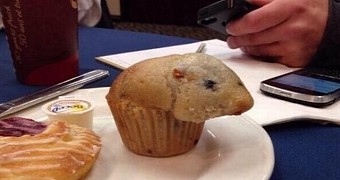 Photo of the Day: This Muffin Looks Just like a Hamster