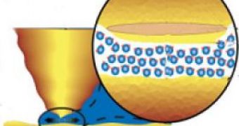 In nano-size channels water behaves much like a solid, exhibiting high viscosity and organizing itself into layers.