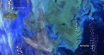 New NASA image shows phytoplankton bloom in Alaskan waters