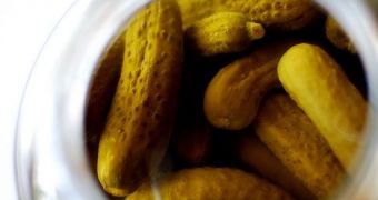 Pickle Bacteria Helps the Environment