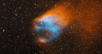 Nebula that looks like a flaming skull is caught on camera as it travels through the Milky Way