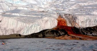 Glacier in Antarctica appears to be bleeding