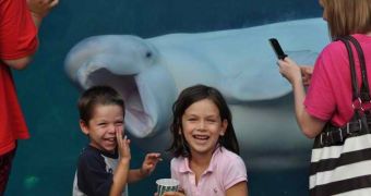 Beluga whale photobombs kids visiting an aquarium