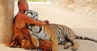 Picture of the Day: Buddhist Monk Cuddles with a Tiger