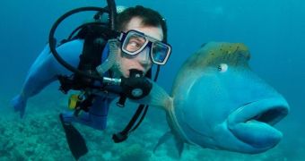Diver, fish are surprised to find they are swimming side by side