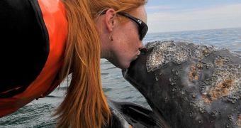 Woman gets to kiss a grey whale (click to see full image)