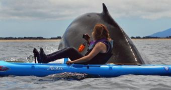 Kayaker has a very close encounter with a humpback whale