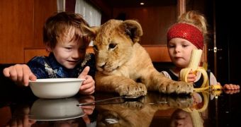 Lion cub, boy and girl enjoy a quiet breakfast together