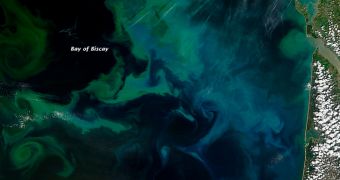 Natural-color picture taken on May 4 by NASA's Terra satellite shows phytoplankton blooms off the coast of France