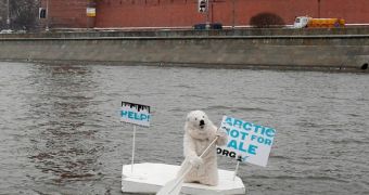 Polar bear floats past Kremlin (click to see full image)