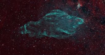 The Manatee Nebula looks strikingly similar to the endangered marine mammal it got its name from