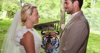 Tiger at Devon zoo photobombs newlyweds