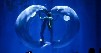 Picture shows whales at Chinese aquarium dancing with their trainers